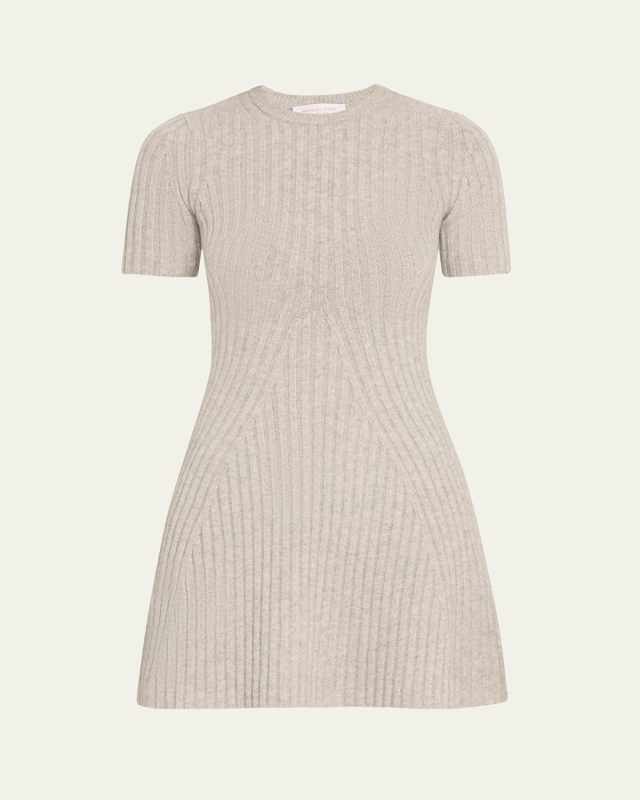 Ribbed Cashmere Mini Dress